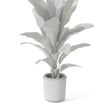 Plants collection 1071