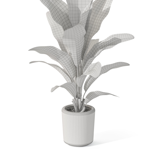 Plants collection 1071