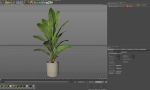 Plants collection 1071