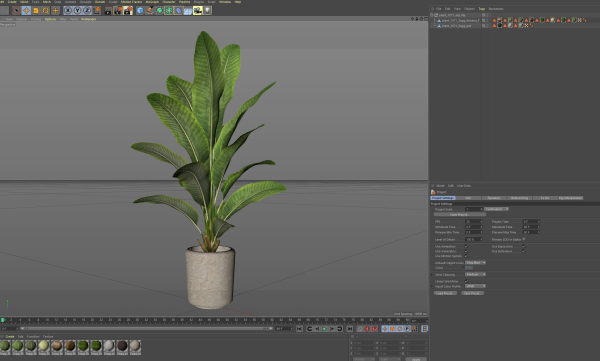 Plants collection 1071