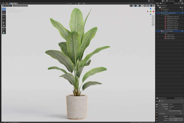 Plants collection 1071