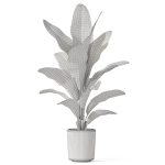 Plants collection 1071