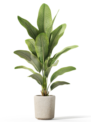 plants-collection-1071-3d-model-f847f4ccfe