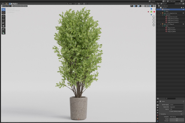 Plants collection 1072