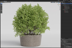 Plants collection 1073