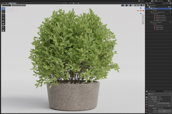 Plants collection 1073