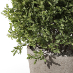 Plants collection 1073