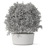 Plants collection 1073