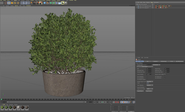 Plants collection 1073