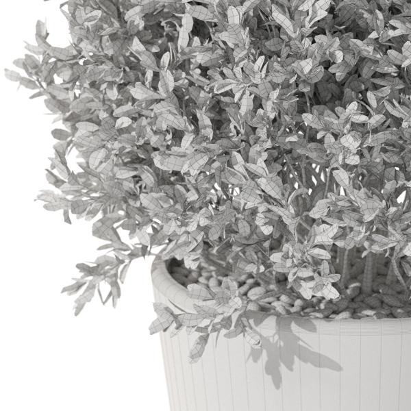 Plants collection 1073