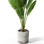 Plants collection 1074