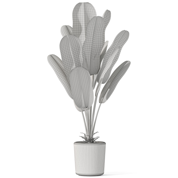 Plants collection 1074