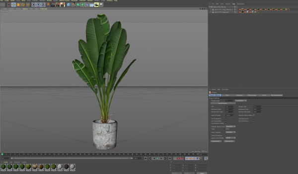 Plants collection 1074