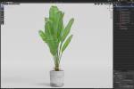 Plants collection 1074