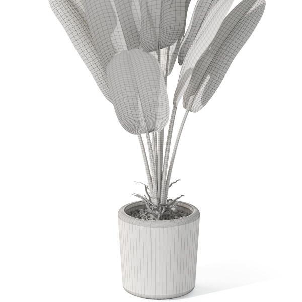 Plants collection 1074