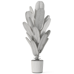 Plants collection 1075