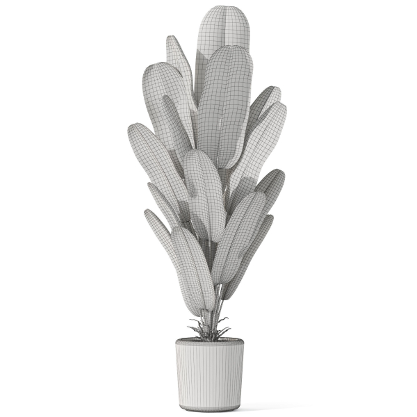 Plants collection 1075