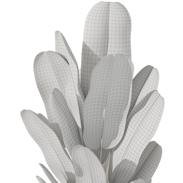 Plants collection 1075