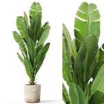 Plants collection 1075