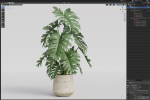 Plants collection 1076
