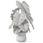 Plants collection 1076
