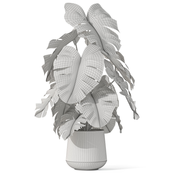 Plants collection 1076