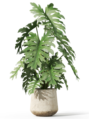 plants-collection-1076-3d-model-c92cb2a0f5