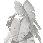 Plants collection 1076