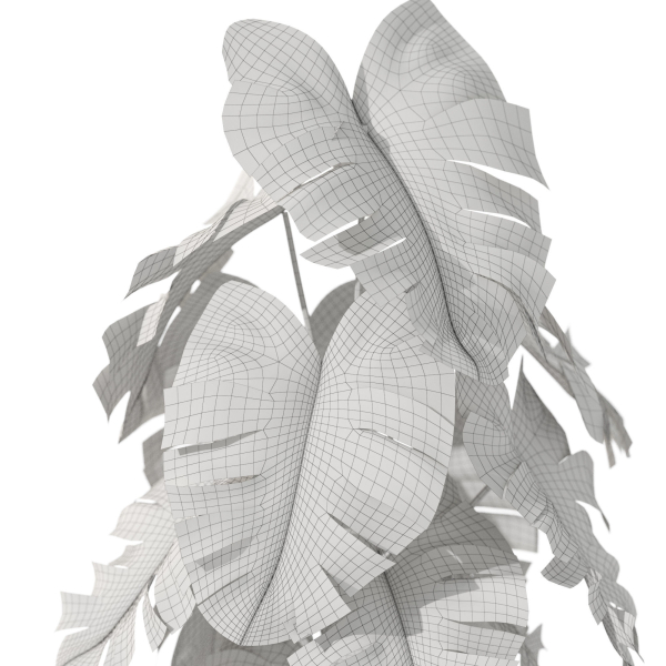 Plants collection 1076