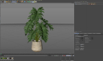 Plants collection 1076