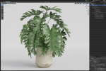Plants collection 1077