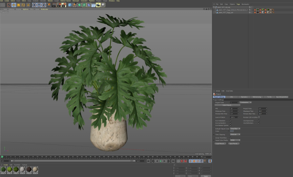 Plants collection 1077