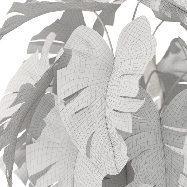 Plants collection 1077