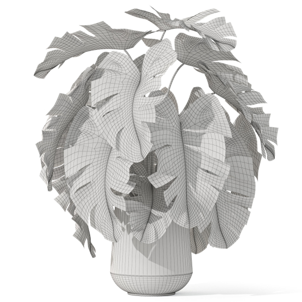 Plants collection 1077
