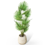 Plants collection 1078