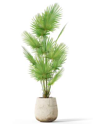 plants-collection-1078-3d-model-a8f2ab4a38