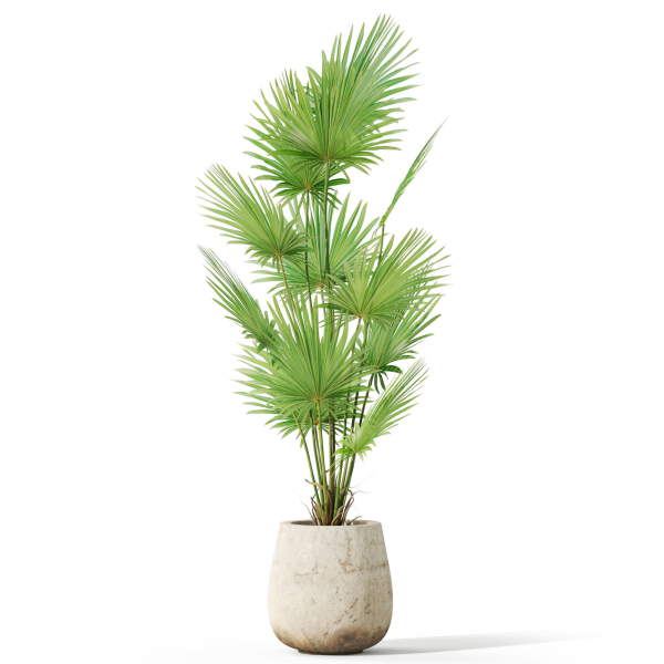 Plants collection 1078