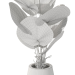 Plants collection 1078