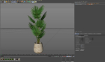 Plants collection 1078