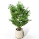Plants collection 1079