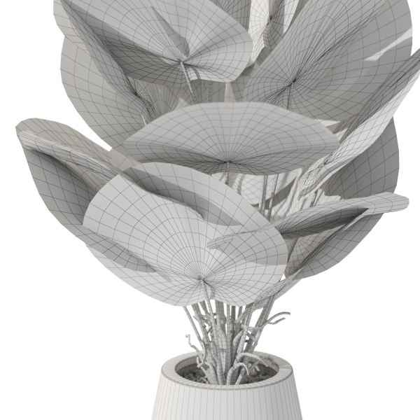 Plants collection 1079