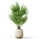 Plants collection 1079