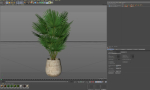 Plants collection 1079