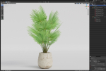 Plants collection 1079