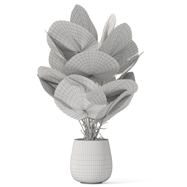 Plants collection 1079