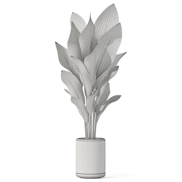 Plants collection 1080