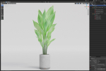 Plants collection 1080