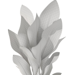 Plants collection 1080