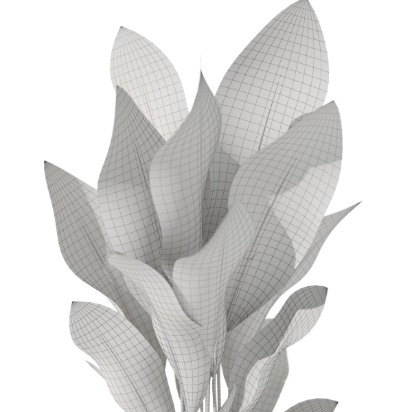 Plants collection 1080
