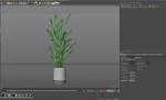 Plants collection 1081